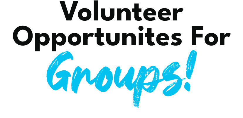 Volunteer Opportunities For Groups!